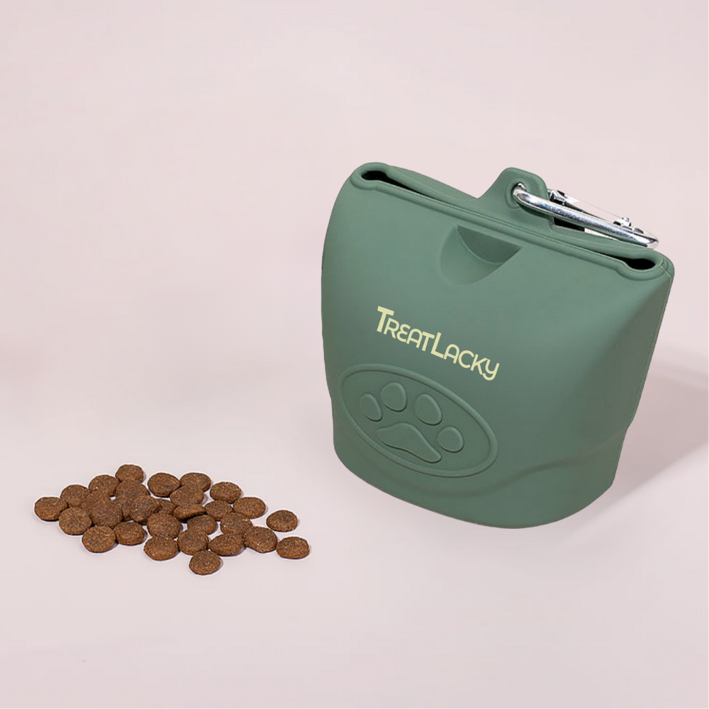 TreatLacky Treat Pouch